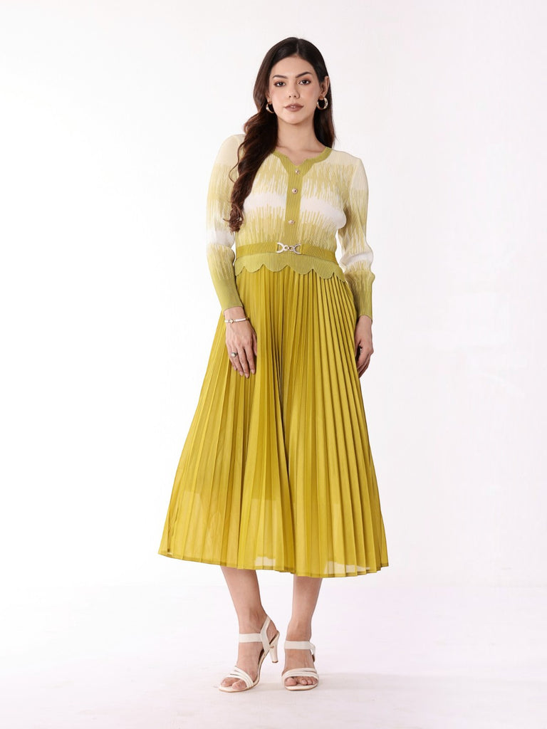 Pleated Magic Flared Dress