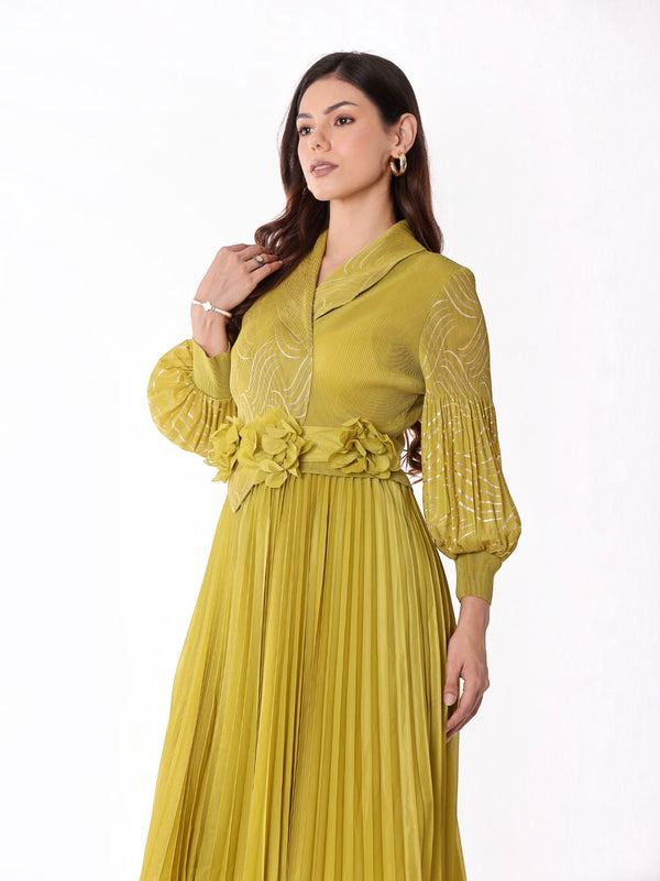 Pleated Magic Flared Dress