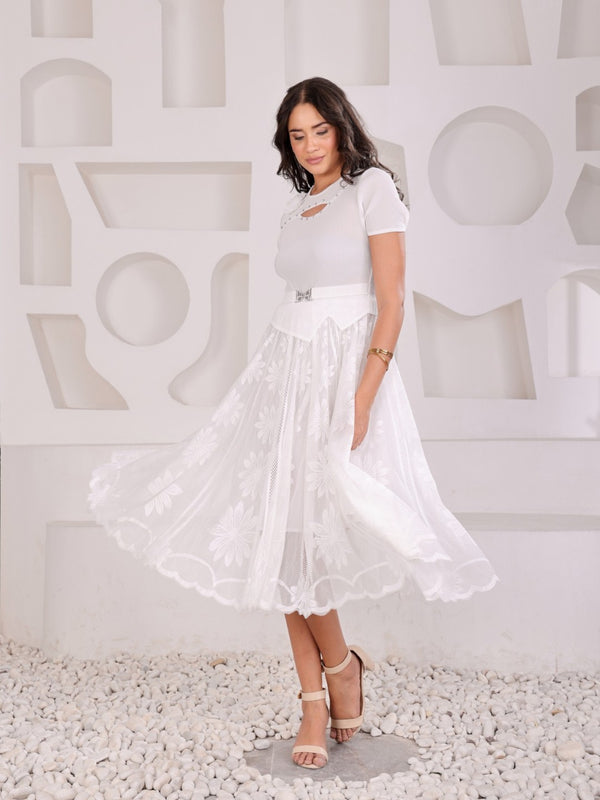 Pleated Magic Flared Dress